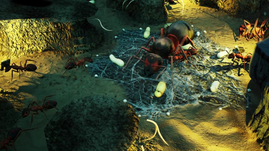 Empires of the Undergrowth